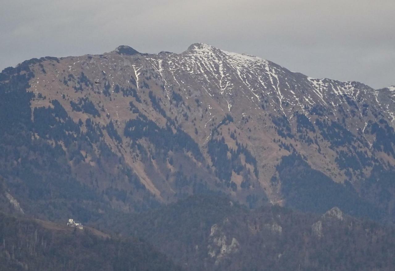 Apartment Tjasa Radovljica Buitenkant foto